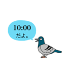 時間鳥(じかんどぉり)（個別スタンプ：7）
