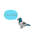 時間鳥(じかんどぉり)（個別スタンプ：30）