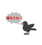 時間鳥(じかんどぉり)（個別スタンプ：35）