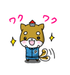 毎日使える♪まどすけスタンプ（個別スタンプ：10）