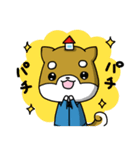 毎日使える♪まどすけスタンプ（個別スタンプ：30）