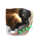 バズビルスタンプ（個別スタンプ：2）