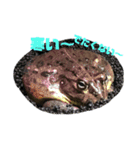 生物オリジナルスタンプ2（個別スタンプ：5）