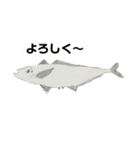 生物オリジナルスタンプ2（個別スタンプ：6）