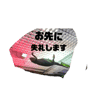 生物オリジナルスタンプ2（個別スタンプ：7）