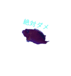 生物オリジナルスタンプ2（個別スタンプ：15）