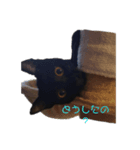 あずきの1日（個別スタンプ：6）