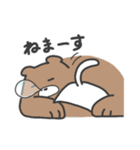 ネコさんとクマさん(ネコさん多め)（個別スタンプ：30）