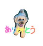 太陽くん☀️（個別スタンプ：2）