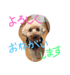 太陽くん☀️（個別スタンプ：4）