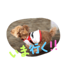 太陽くん☀️（個別スタンプ：8）