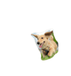 ウィルのきもち。（個別スタンプ：2）
