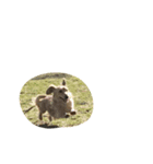 ウィルのきもち。（個別スタンプ：6）