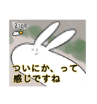 口の悪いうさぎのスタンプ（個別スタンプ：5）