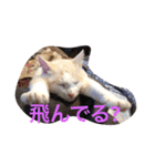 小さな家族たち（個別スタンプ：5）