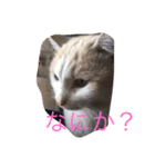 小さな家族たち（個別スタンプ：7）