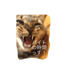 小さな家族たち（個別スタンプ：8）