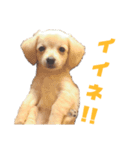 チワックスのグリコ 1（個別スタンプ：2）