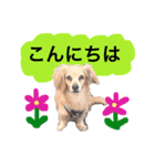 ☆pino☆日常生活編（個別スタンプ：2）