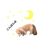 ☆pino☆日常生活編（個別スタンプ：3）