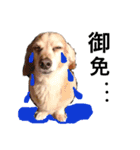 ☆pino☆日常生活編（個別スタンプ：4）