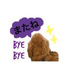 ☆pino☆日常生活編（個別スタンプ：6）