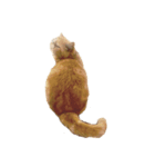 怠惰な猫の生活 cat 2（個別スタンプ：3）
