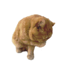 怠惰な猫の生活 cat 2（個別スタンプ：8）