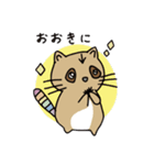 関西弁ALLYアライグマ（個別スタンプ：1）