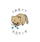 関西弁ALLYアライグマ（個別スタンプ：7）