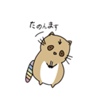 関西弁ALLYアライグマ（個別スタンプ：10）