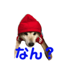 むくむくすたんぷ（個別スタンプ：3）
