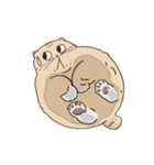 ガラスの上に座ったにゃん！（個別スタンプ：1）