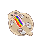 ガラスの上に座ったにゃん！（個別スタンプ：5）