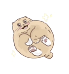 ガラスの上に座ったにゃん！（個別スタンプ：8）