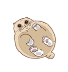 ガラスの上に座ったにゃん！（個別スタンプ：10）