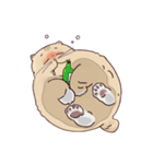 ガラスの上に座ったにゃん！（個別スタンプ：11）