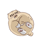 ガラスの上に座ったにゃん！（個別スタンプ：12）