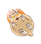 ガラスの上に座ったにゃん！（個別スタンプ：13）