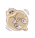 ガラスの上に座ったにゃん！（個別スタンプ：18）