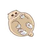 ガラスの上に座ったにゃん！（個別スタンプ：19）