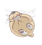 ガラスの上に座ったにゃん！（個別スタンプ：23）