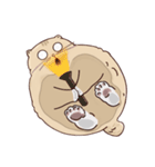 ガラスの上に座ったにゃん！（個別スタンプ：24）