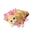 ♡世界一かわいいメイちゃんスタンプ♡（個別スタンプ：1）