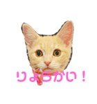 ♡世界一かわいいメイちゃんスタンプ♡（個別スタンプ：4）