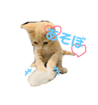 ♡世界一かわいいメイちゃんスタンプ♡（個別スタンプ：5）