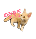 ♡世界一かわいいメイちゃんスタンプ♡（個別スタンプ：6）