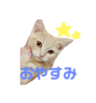 ♡世界一かわいいメイちゃんスタンプ♡（個別スタンプ：8）