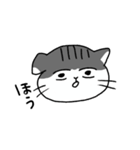 猫のマーゴ（個別スタンプ：1）