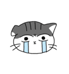 猫のマーゴ（個別スタンプ：6）